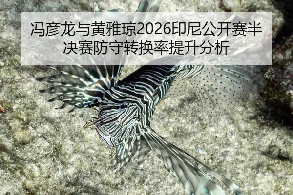 冯彦龙与黄雅琼2026印尼公开赛半决赛防守转换率提升分析
